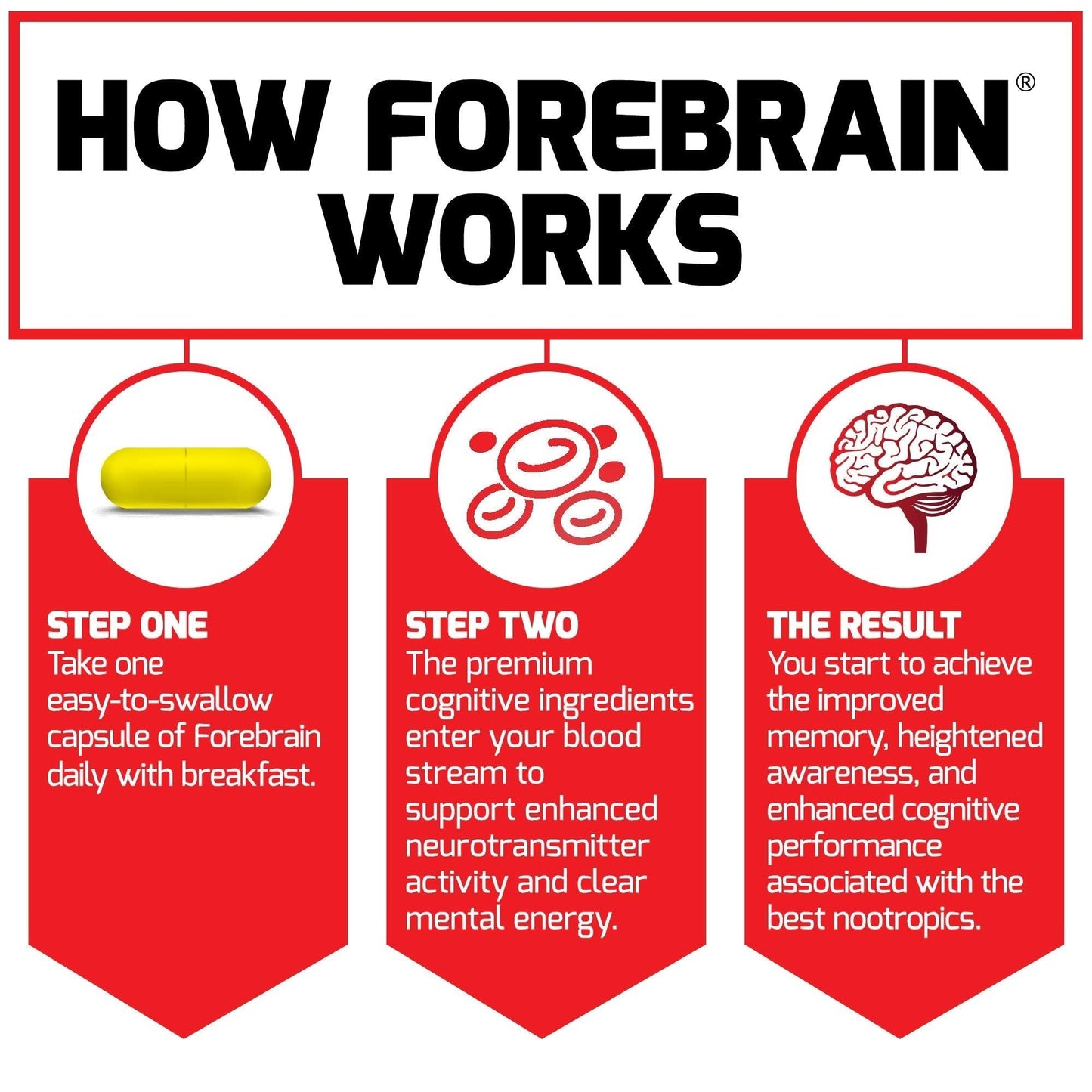 Force Factor Forebrain Nootropic Brain Supplement with Caffeine Bacopa and Huperzine A Capsules 3Pack, White, 90 Count - Maple Wellness Supplements