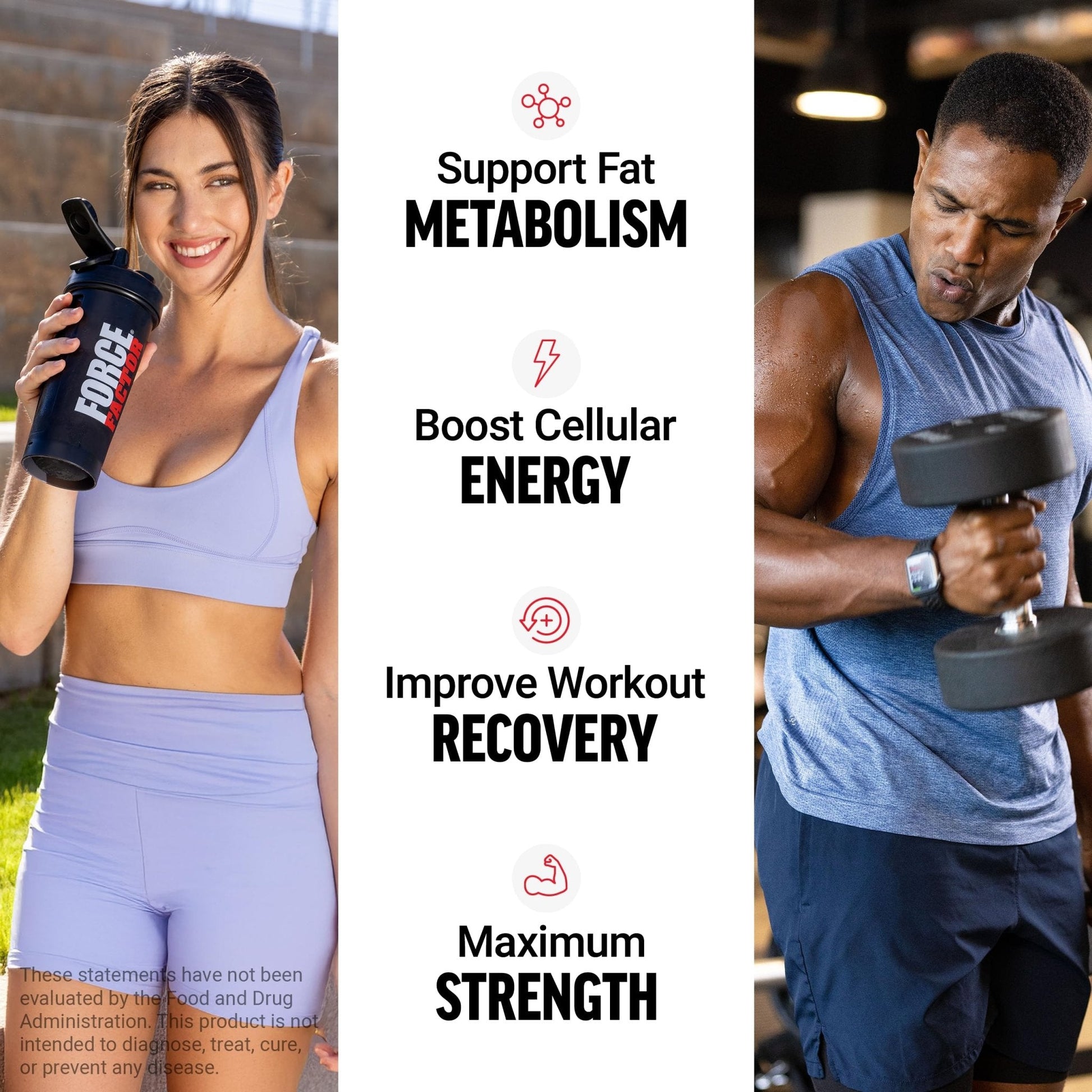 Force Factor L-Carnitine Liquid 3000mg, Maximum Strength Supplement to Support Fat Metabolism, Cellular Energy & Muscle Recovery, High Absorbing - Maple Wellness Supplements