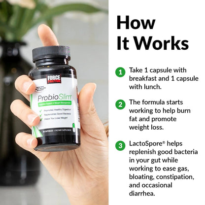 Force Factor ProbioSlim Probiotics for Women and Men, Probiotics for Digestive Health to Reduce Bloating, Gas, & Occasional Diarrhea, with Prebiotics, LactoSpore, & Green Tea for Energy, 60 Capsules - Maple Wellness Supplements