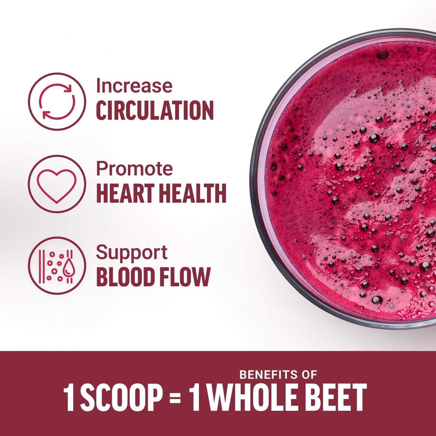 Force Factor Total Beets Organic Beetroot Powder Superfood to Boost Daily Nutrition, USDA Organic, Vegan, Gluten-Free - Maple Wellness Supplements