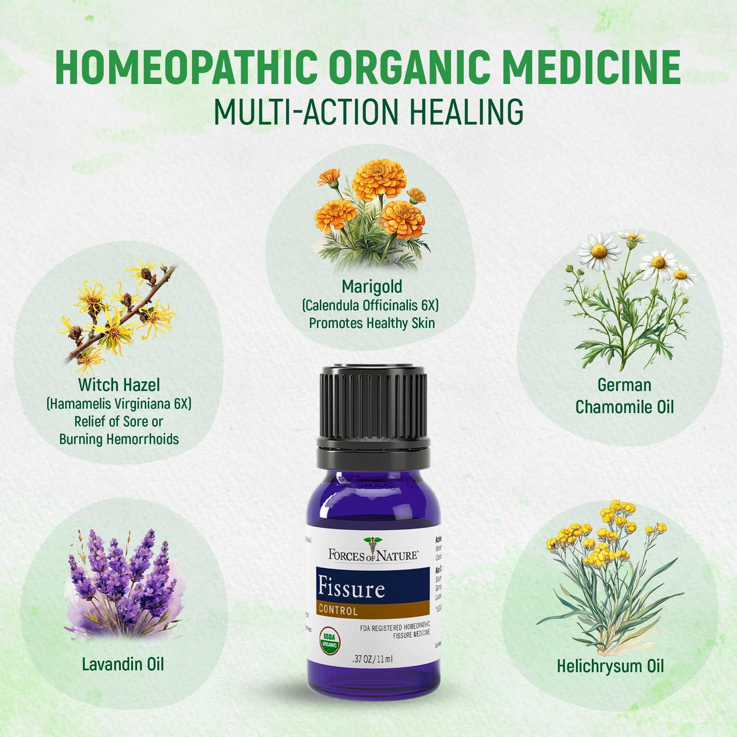 Forces of Nature Fissure Control, Organic Homeopathic Treatment with Witch Hazel for Anal Fissures, Hemorrhoid Related Irritation & Discomfort, Fast, Natural Topical Relief, 1 Fl Oz - Maple Wellness Supplements