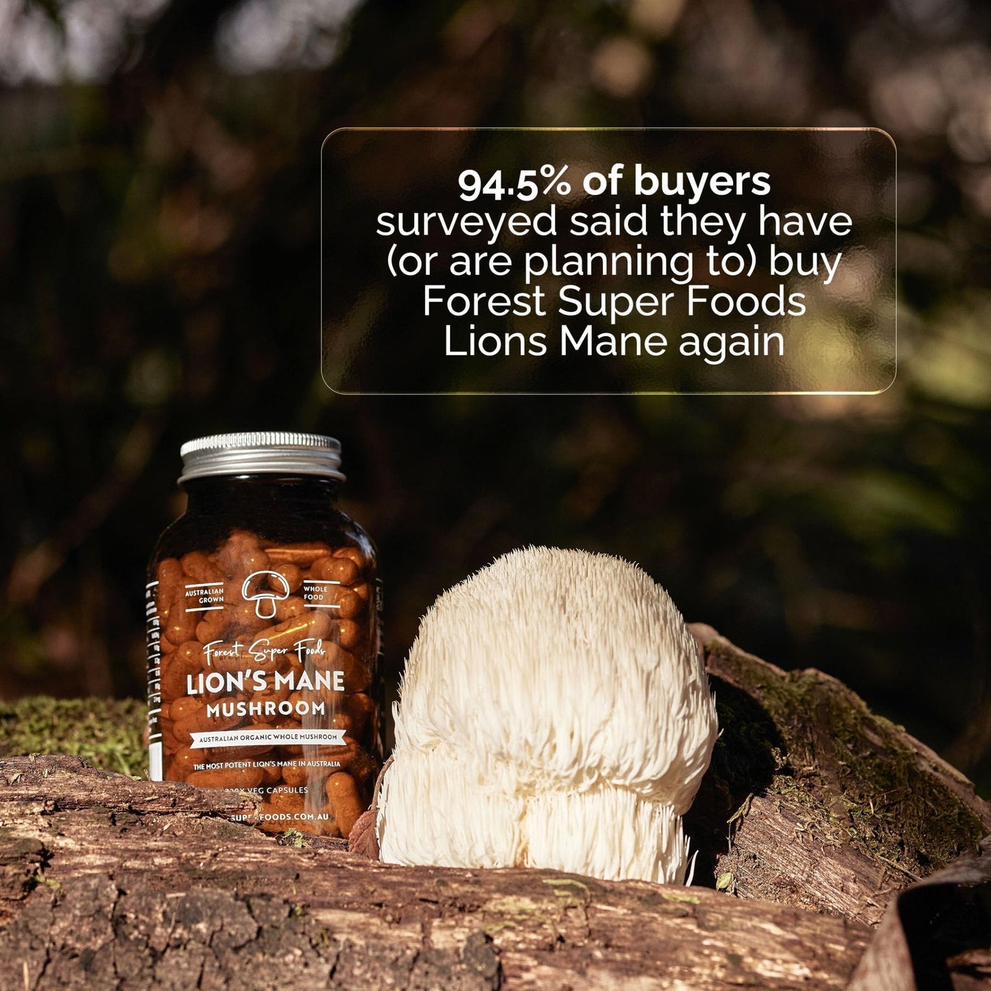 Forest Super Foods Lions Mane Supplement Capsules (120 Capsules) Organic Lions Mane Mushroom | Memory Lift Brain Supplement for Focus and Productivity. Lion Mane, Grown & Made in Australia - Maple Wellness Supplements