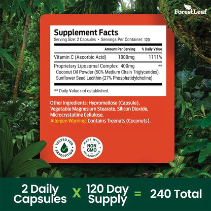 ForestLeaf Liposomal Vitamin C 1400mg Capsules | High Dose Vitamin C Liposomal Supplement w Coconut Oil Fatty Acids | Fast Absorption | Immune Support, Antioxidant, - Maple Wellness Supplements