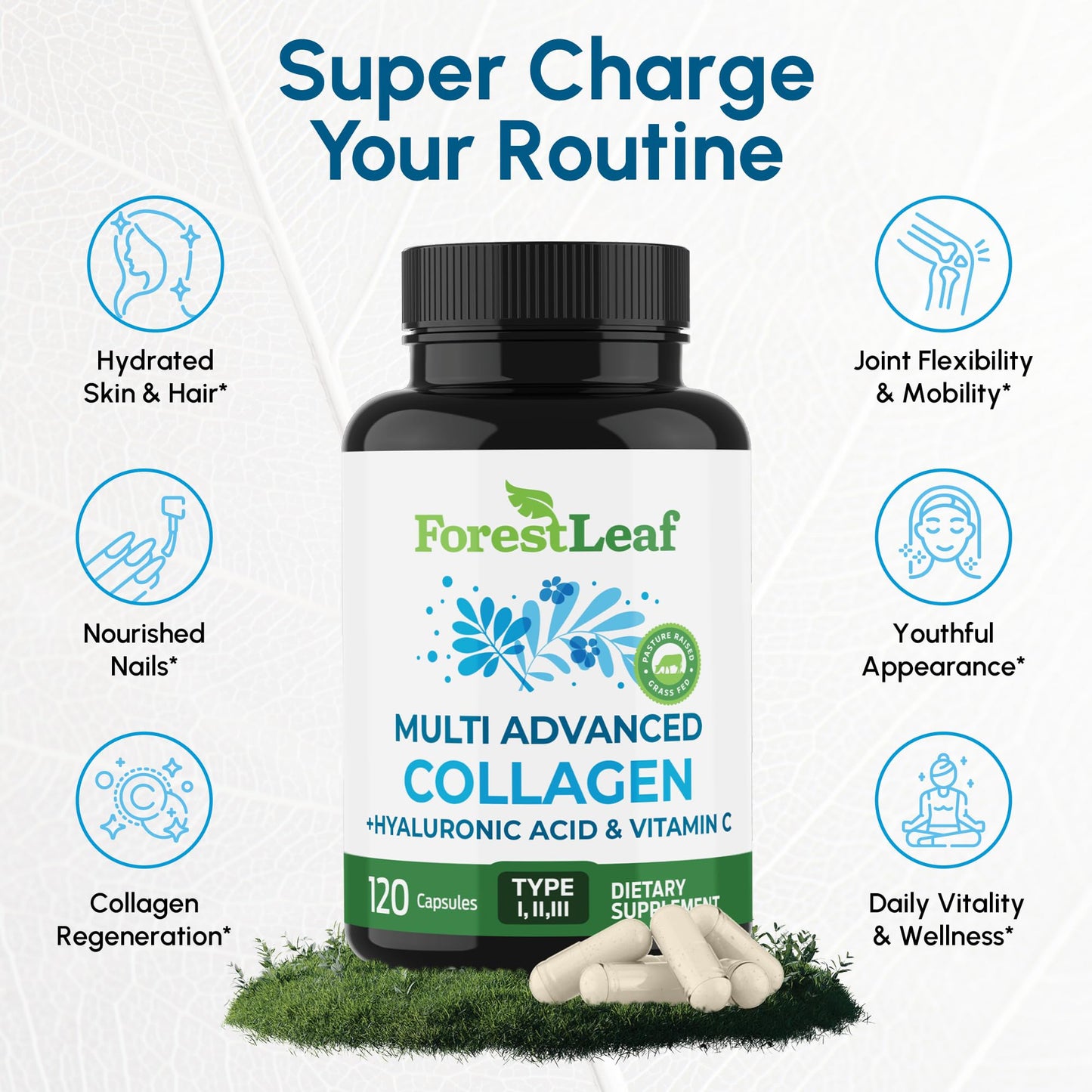 ForestLeaf Multi Collagen Pills with Hyaluronic Acid + Vitamin C | Hydrolyzed Collagen Supplements for Women or Men | Multi Collagen Capsules Peptides for Skin, Wrinkles, 240 - Maple Wellness Supplements