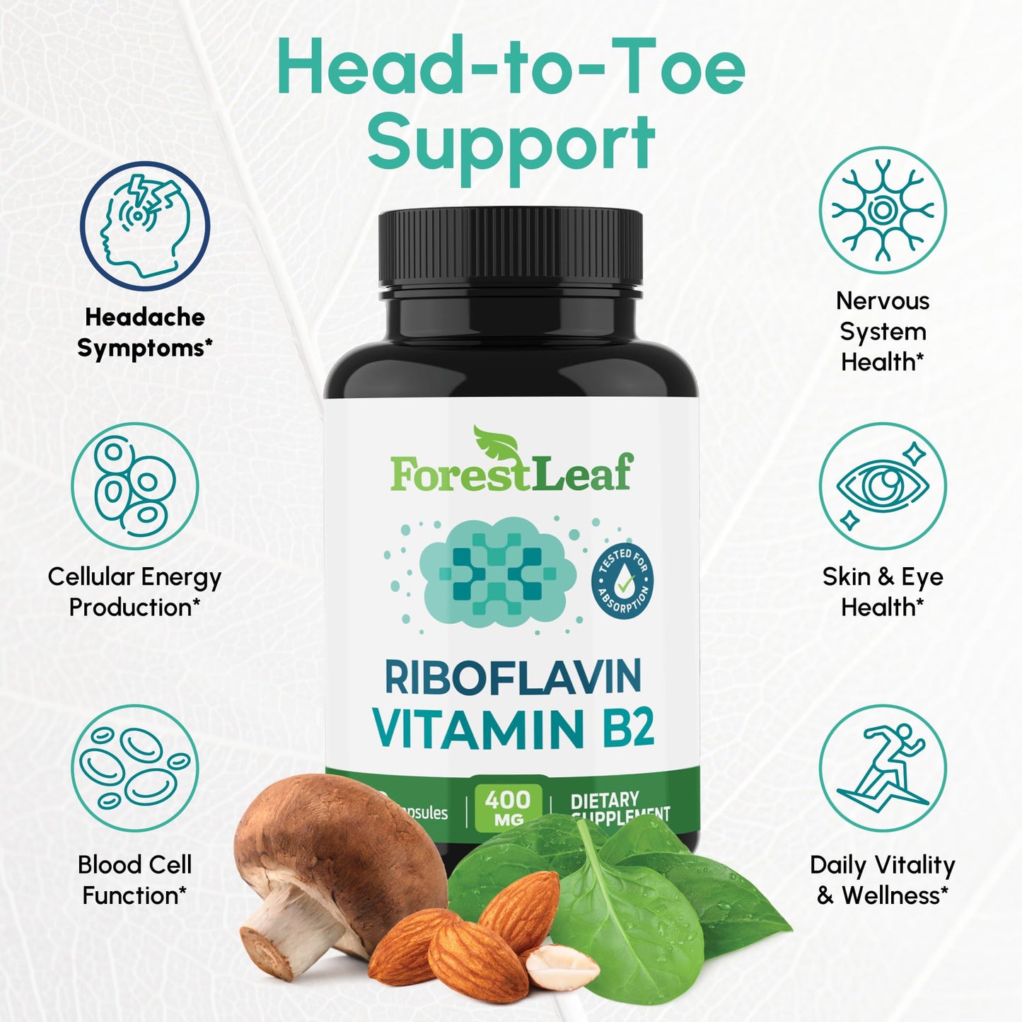 ForestLeaf Vitamin B2 Riboflavin 400mg - Energy, Skin & Cellular Health Supplement - Nervous System Support - Vitamin B 2 VIT B - Non-GMO & Gluten Free - Maple Wellness Supplements