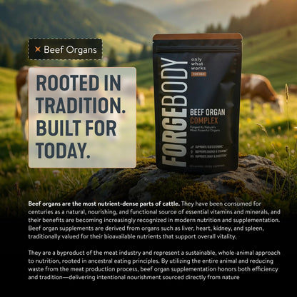 FORGEBODY® Beef Organ Complex Capsules [1 Month] - 100% Grass Fed Beef Organ Supplement with Blend of Liver, Heart, Bone Marrow, Pancreas & Testicles - Maple Wellness Supplements
