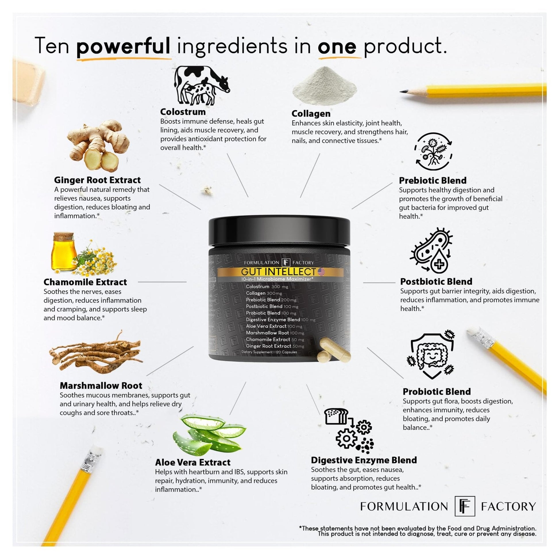Formulation Factory Probiotics for Women & Men - Gut Intellect 10-in-1 Digestive Enzymes with Prebiotics and Postbiotics - Total Gut Health Supplement - 120 Capsules, 2 Month Supply - Maple Wellness Supplements