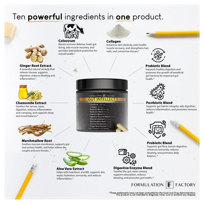 Formulation Factory Probiotics for Women & Men - Gut Intellect 10-in-1 Digestive Enzymes with Prebiotics and Postbiotics - Total Gut Health Supplement - Maple Wellness Supplements