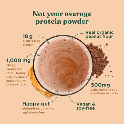 Four Sigmatic Organic Plant-Based Protein Powder Peanut Butter Protein with Lion’s Mane - Maple Wellness Supplements