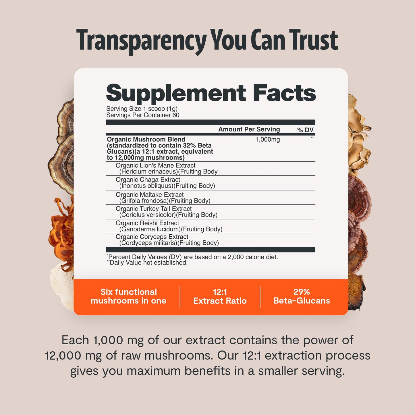 FreshCap Mushrooms Ultimate Mushroom Supplement Powder 12,000mg - Nootropic Organic Mushroom Complex for Focus & Memory, Brain Support Supplement, Ayurveda Mushroom Powder Extract (60 Servings) - Maple Wellness Supplements