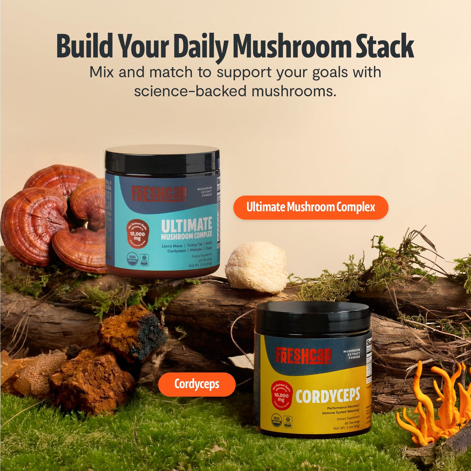 FreshCap Mushrooms Ultimate Mushroom Supplement Powder 12,000mg - Nootropic Organic Mushroom Complex for Focus & Memory, Brain Support Supplement, Ayurveda Mushroom Powder Extract (60 Servings) - Maple Wellness Supplements