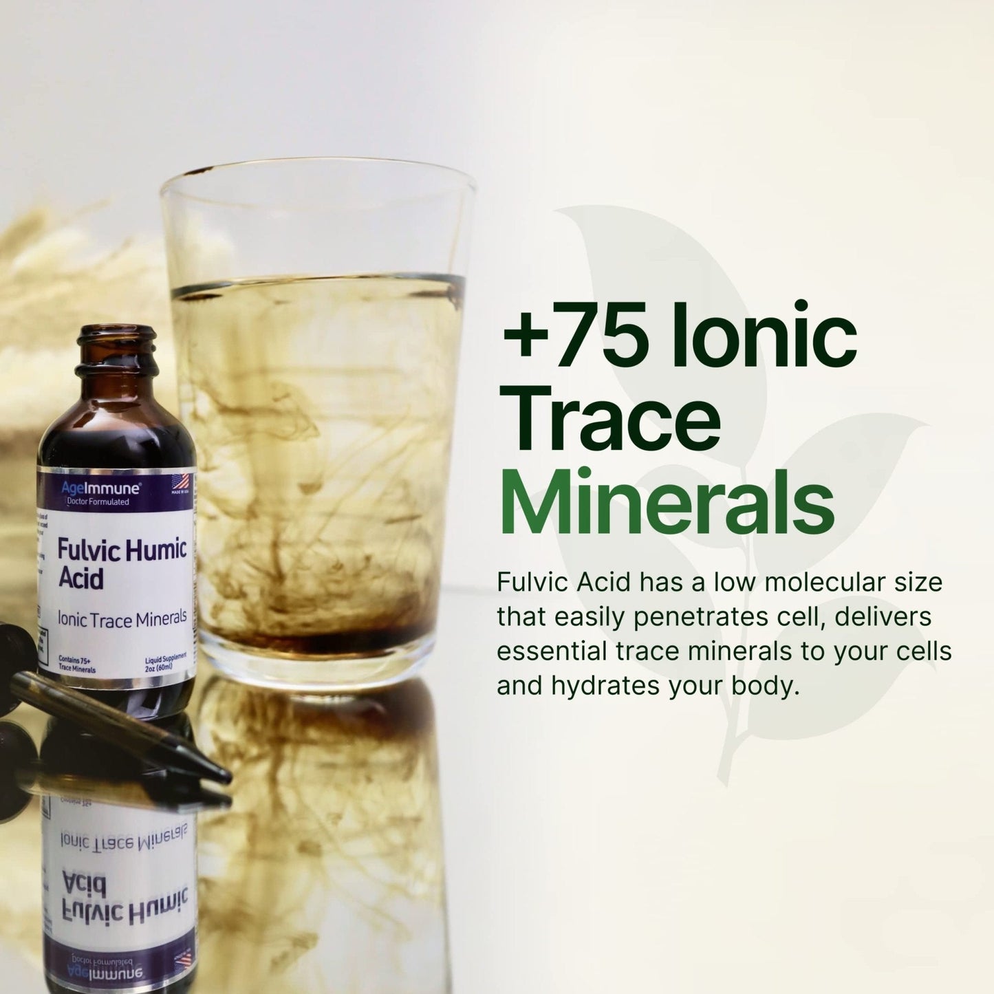Fulvic Humic Acid 75 + Trace Minerals Liquid Supplement - Plant Derived in USA - Fulvic Acid Minerals Concentrate for Energy, Gut Health and Hydration - Maple Wellness Supplements