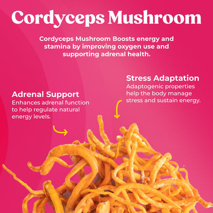 Fungiments Super Bouncy Mushroom Supplement – Cordyceps Focus Capsules for Adults – Natural Brain Boost, Green Tea Energy Vitamins Without jitters, Stamina for Women, Fatigue Support – 60 Count - Maple Wellness Supplements