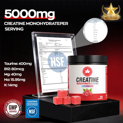GABE SUNNYBEARS Creatine Gummies, NSF Certified, 5g Creatine Monohydrate per Serving with Taurine & B12, Raspberry Flavor, 160 Count, for Men & Women - Maple Wellness Supplements