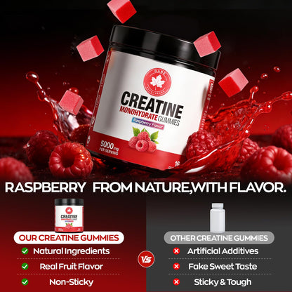 GABE SUNNYBEARS Creatine Gummies, NSF Certified, 5g Creatine Monohydrate per Serving with Taurine & B12, Raspberry Flavor, 160 Count, for Men & Women - Maple Wellness Supplements