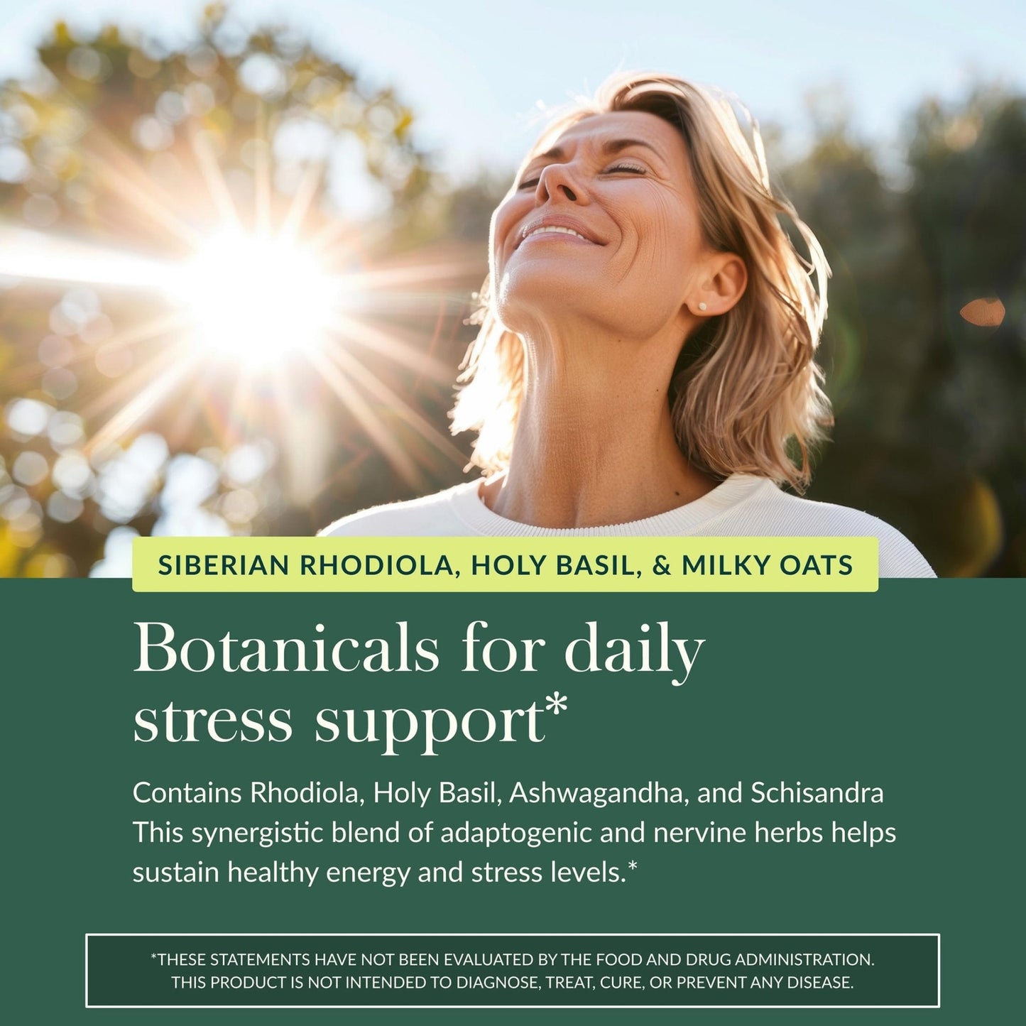Gaia Herbs Adrenal Health Daily Support, Help Maintain Healthy Energy & Stress Levels*,120 Liquid Phyto-Caps Adrenal Health Nightly Restore, 120 Liquid Phyto-Caps - Bundle - Maple Wellness Supplements