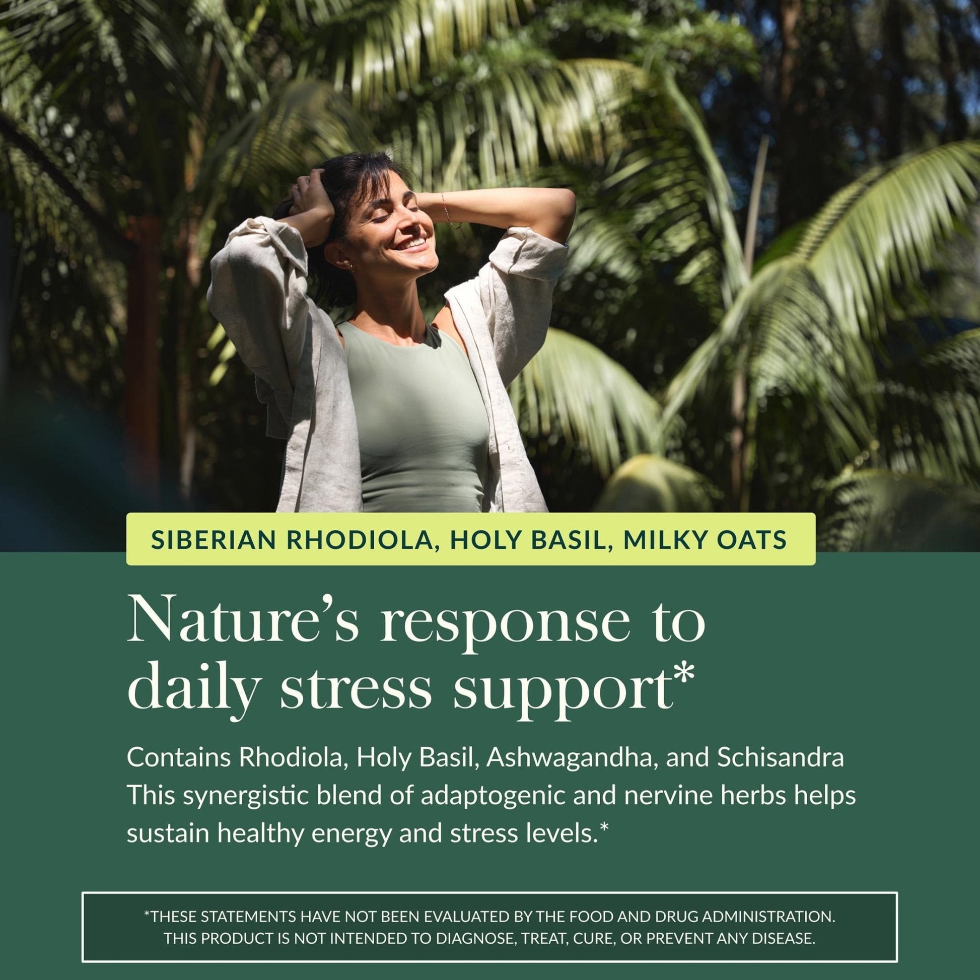 Gaia Herbs Adrenal Health Daily Support - Herbal Supplement with Ashwagandha, Holy Basil & Schisandra - Help Maintain Healthy Energy & Stress Levels* - 60 Vegan Liquid Phyto-Caps (30 Servings) - Maple Wellness Supplements