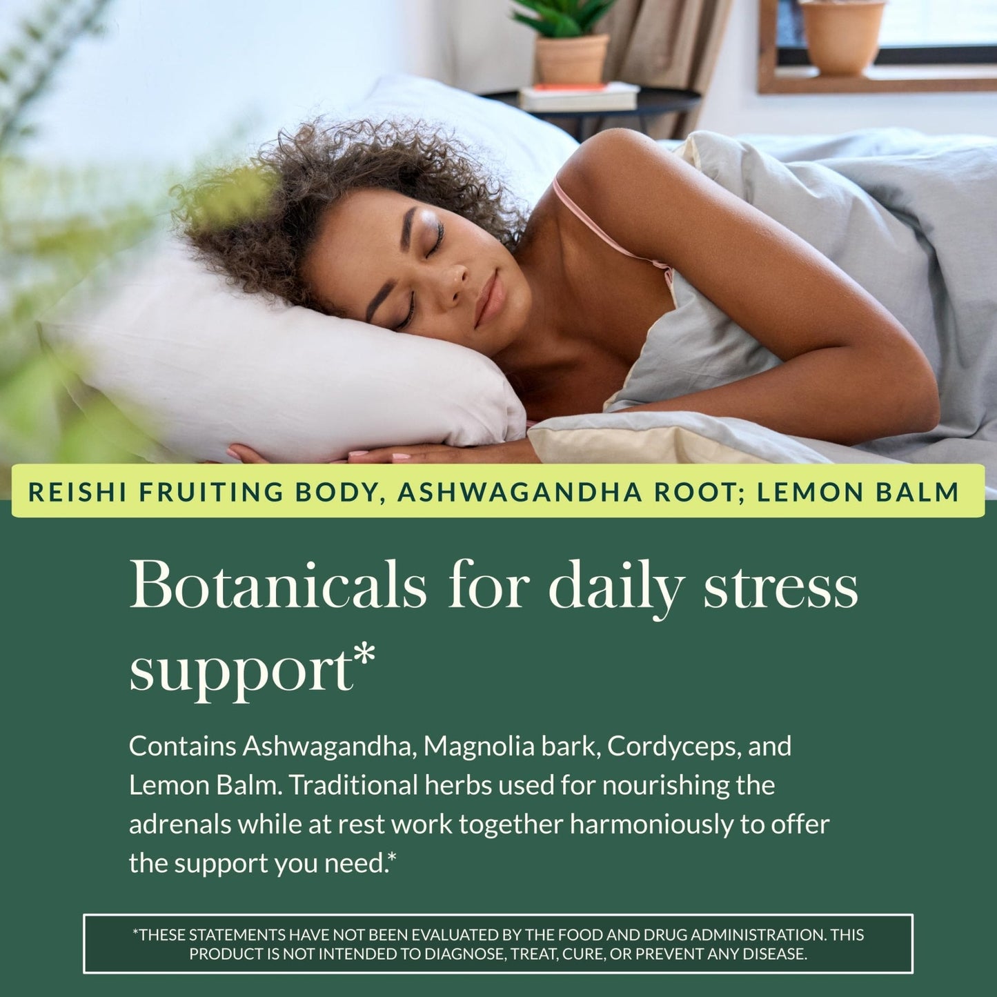 Gaia Herbs Adrenal Health Nightly Restore - Herbal Supplement with Ashwagandha, Magnolia Bark, Cordyceps, Lemon Balm & More* - 60 Vegan Liquid Phyto-Caps (30 Servings) - Maple Wellness Supplements
