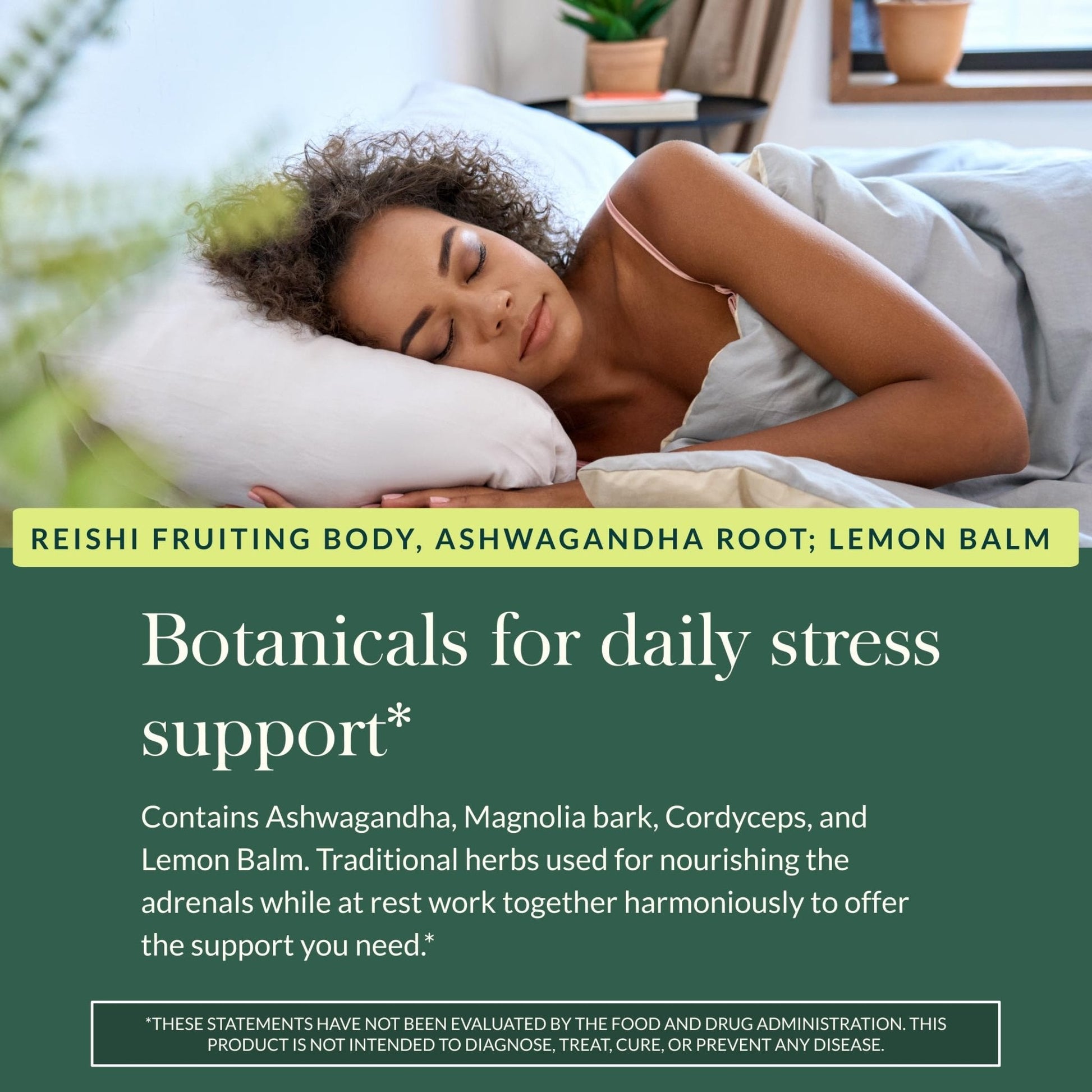 Gaia Herbs Adrenal Health Nightly Restore - Herbal Supplement with Ashwagandha, Magnolia Bark, Cordyceps, Lemon Balm & More* - 60 Vegan Liquid Phyto-Caps (30 Servings) - Maple Wellness Supplements
