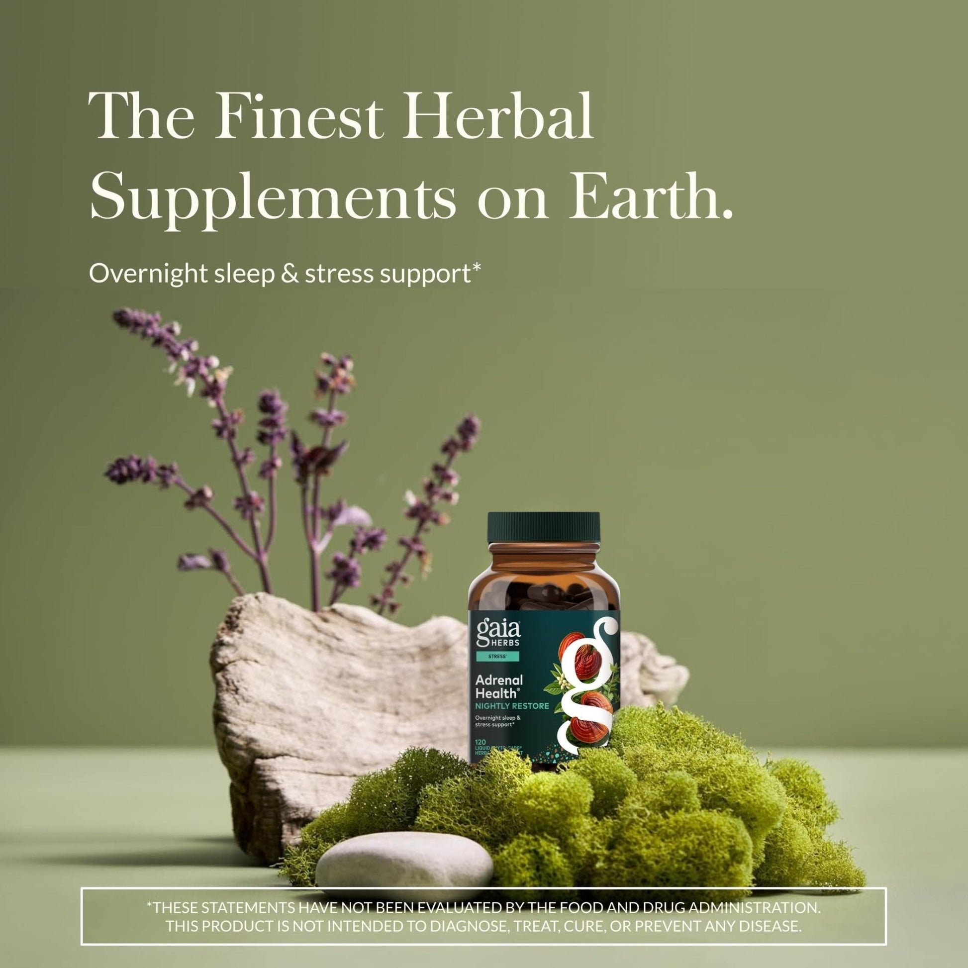 Gaia Herbs Adrenal Health Nightly Restore - Herbal Supplement with Ashwagandha, Magnolia Bark, Cordyceps, Lemon Balm & More* - 60 Vegan Liquid Phyto-Caps (30 Servings) - Maple Wellness Supplements