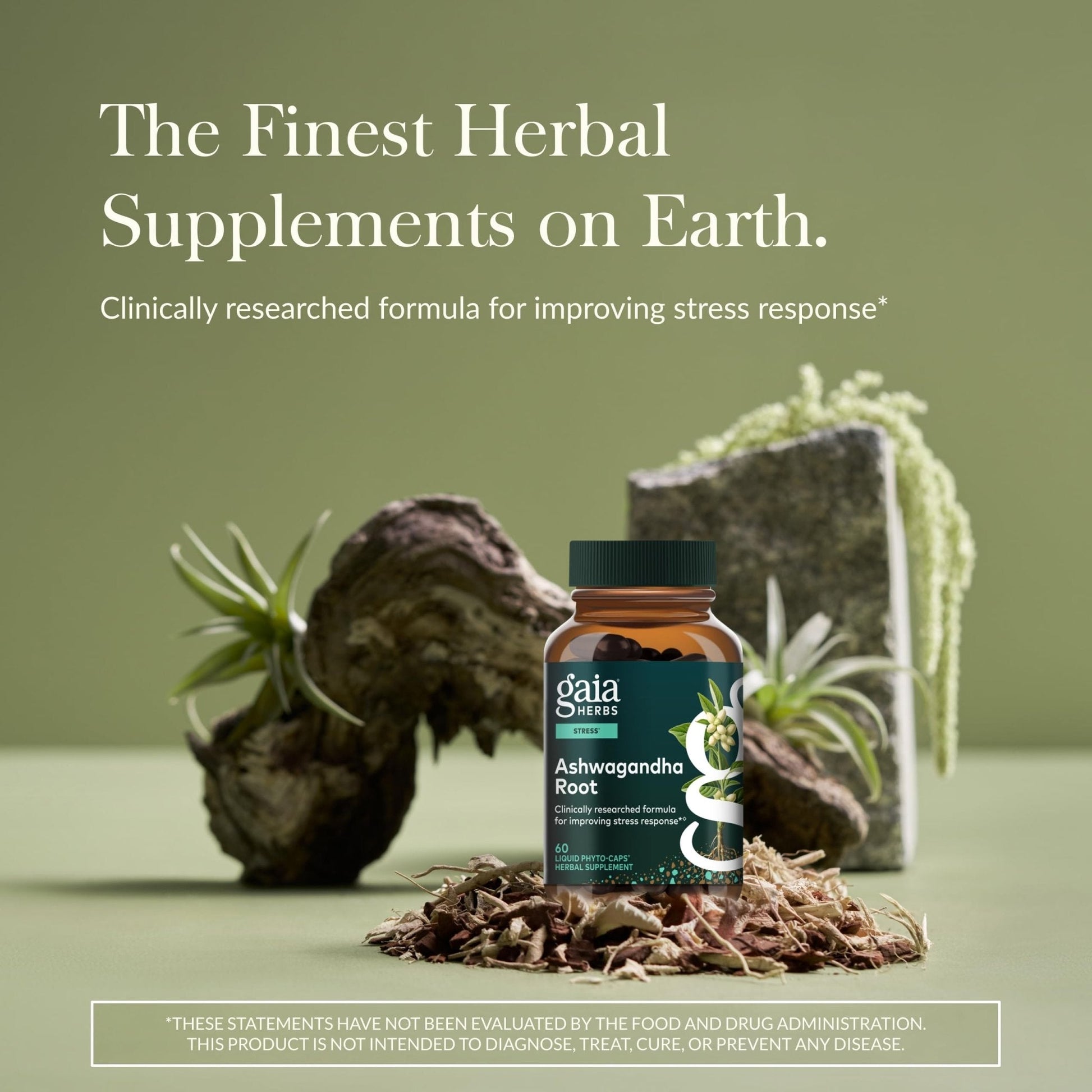 Gaia Herbs Ashwagandha Root - Stress Relief & Sleep Support Supplement - Supports Balanced Energy Levels & Positive Outlook - Maple Wellness Supplements