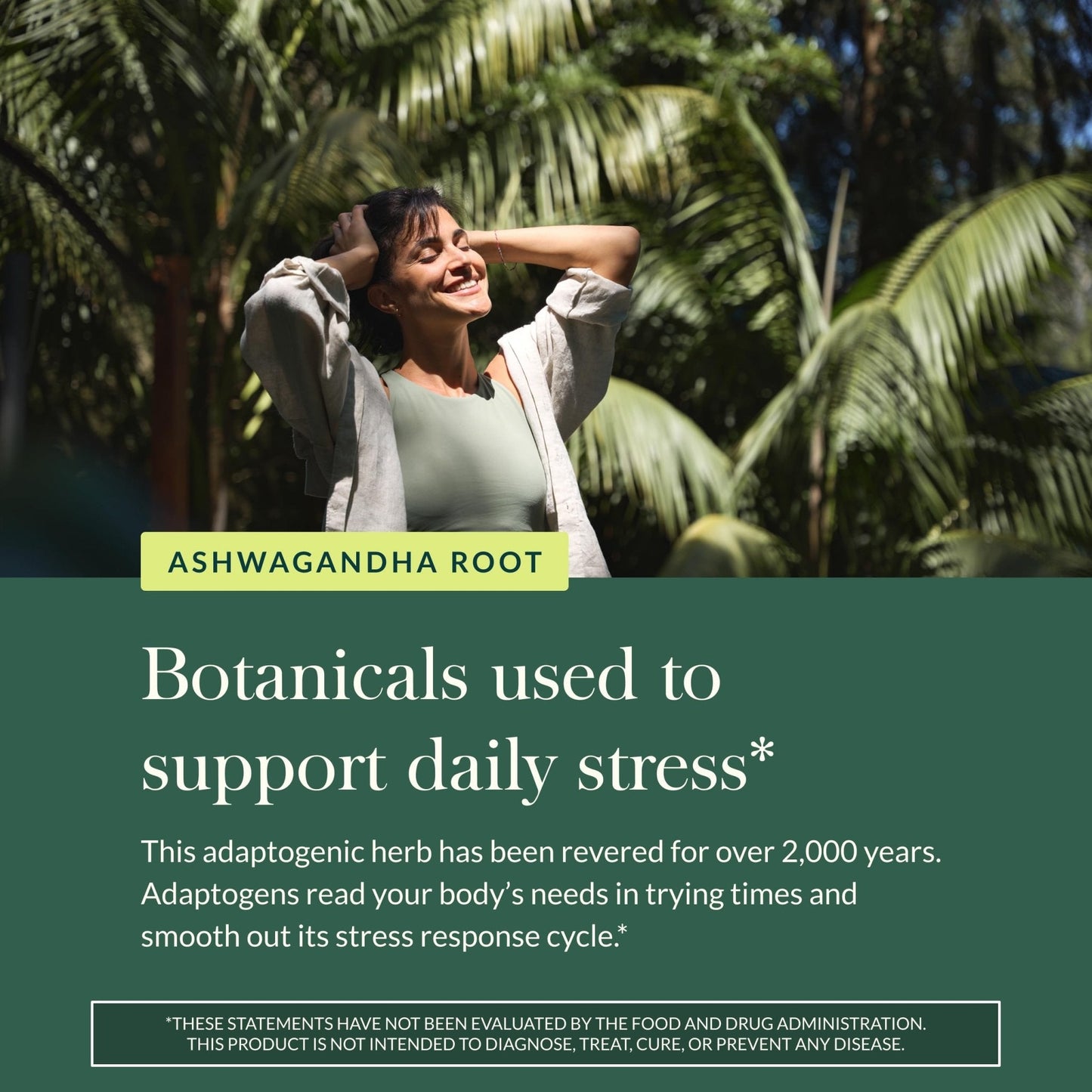 Gaia Herbs Ashwagandha Root - Stress Relief & Sleep Support Supplement - Supports Balanced Energy Levels & Positive Outlook - Maple Wellness Supplements