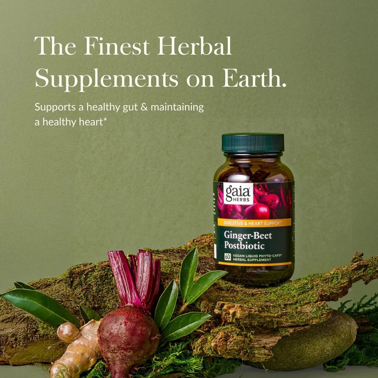 Gaia Herbs Ginger-Beet Postbiotic - Supplement for Gut & Heart Health Support* - Made with Fermented Beets & Ginger - Free from Dairy, Soy & Gluten - 60 Vegan Liquid Phyto-Caps (30 Servings) - Maple Wellness Supplements
