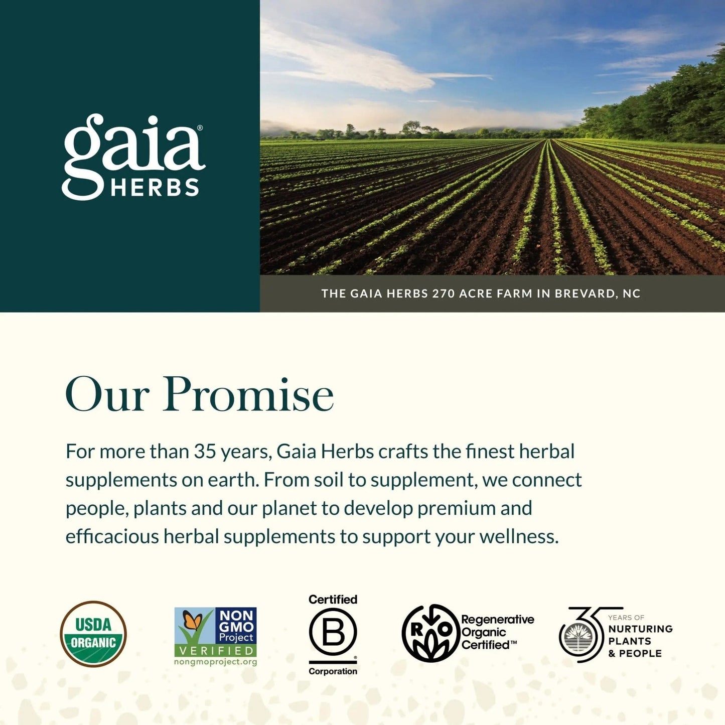 Gaia Herbs Ginger-Turmeric Postbiotic - Healthy Gut Support* - 60 Vegan Liquid Phyto-Caps (30 Servings) - Maple Wellness Supplements