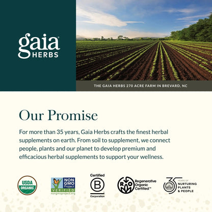 Gaia Herbs Ginger-Turmeric Postbiotic - Healthy Gut Support* - 60 Vegan Liquid Phyto-Caps (30 Servings) - Maple Wellness Supplements