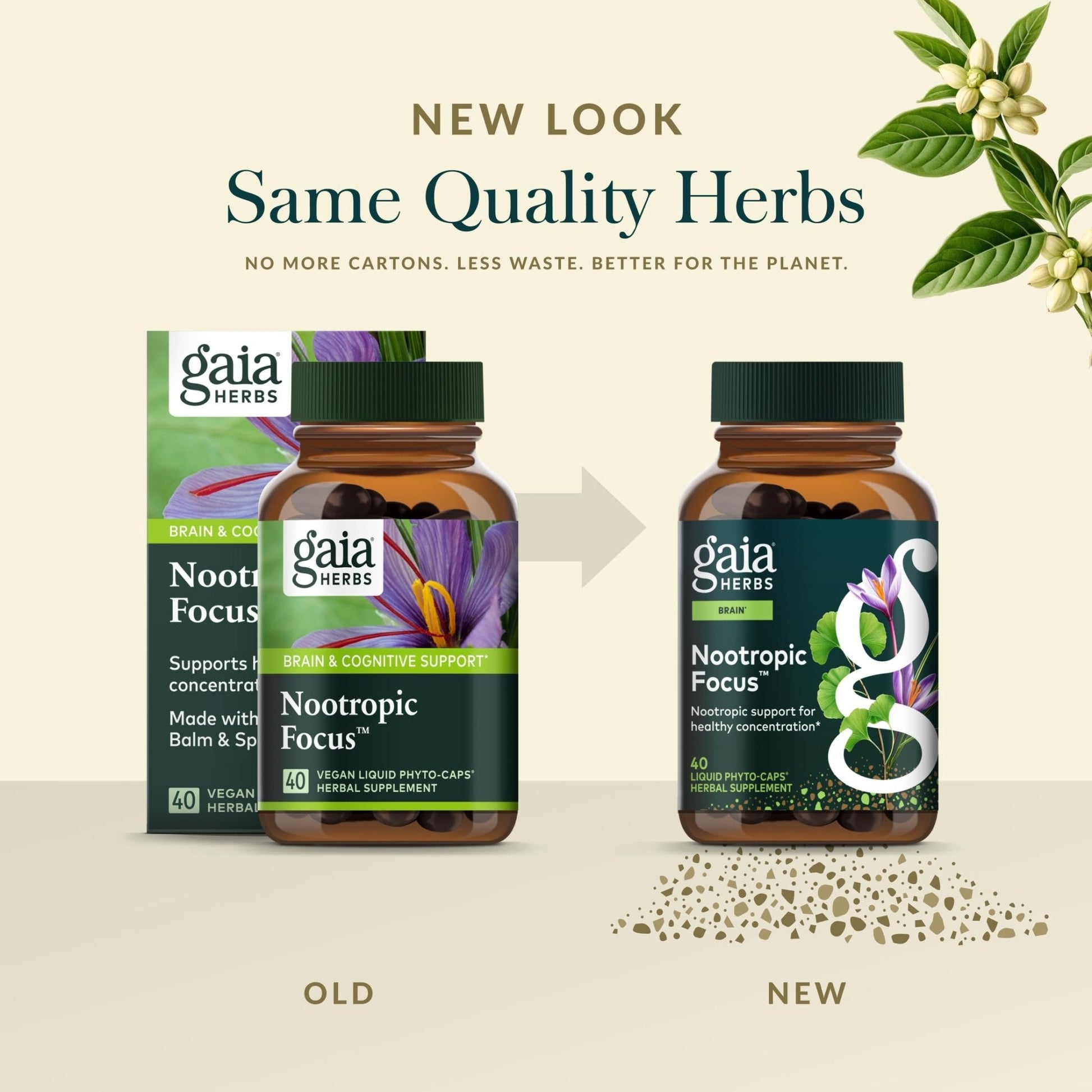 Gaia Herbs Nootropic Focus - Brain & Cognitive Support Supplement to Help Maintain Healthy Concentration* - with Saffron, Lemon Balm & Spearmint - 40 Liquid Phyto-Capsules (20 Servings) - Maple Wellness Supplements