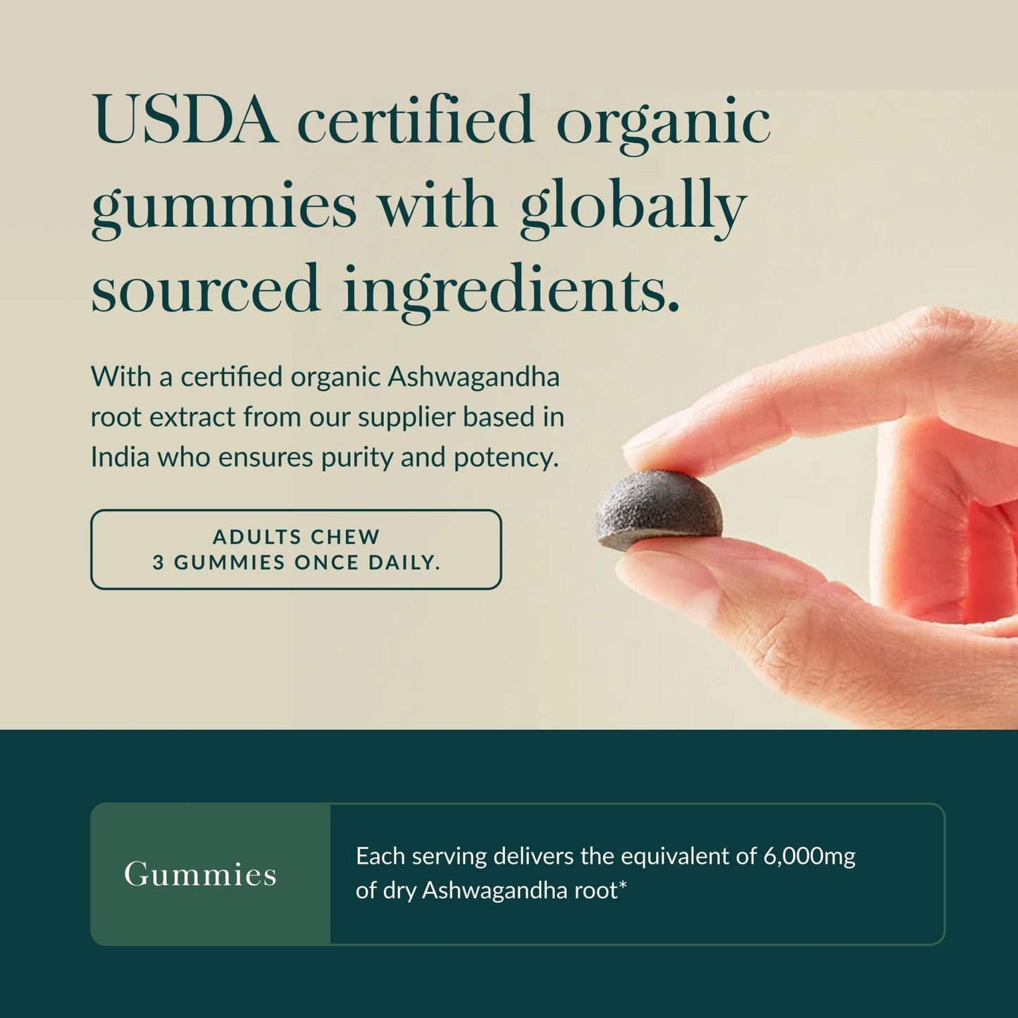 Gaia Herbs Organic Ashwagandha Gummies - Stress Support* - Made with Cinnamon & Ginger - Gluten Free & Vegan - 45 Count (15 Servings) - Maple Wellness Supplements