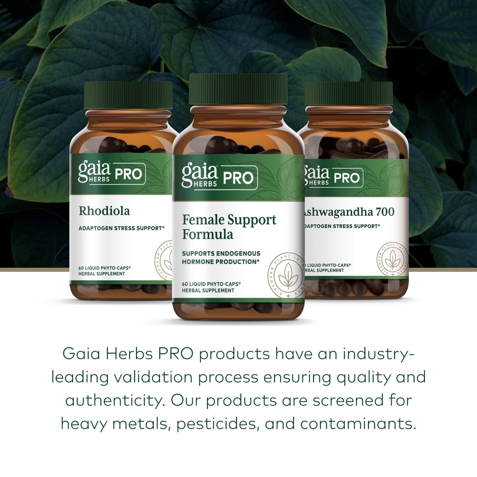 GAIA HERBS PRO Female Support Formula - Supports Healthy PMS & Menopause Fluctuations with Alfalfa Leaf, Black Cohosh Root Extract, Dandelion Root & More* - Vegan - 60 Liquid Phyto-Caps (60 Servings) - Maple Wellness Supplements