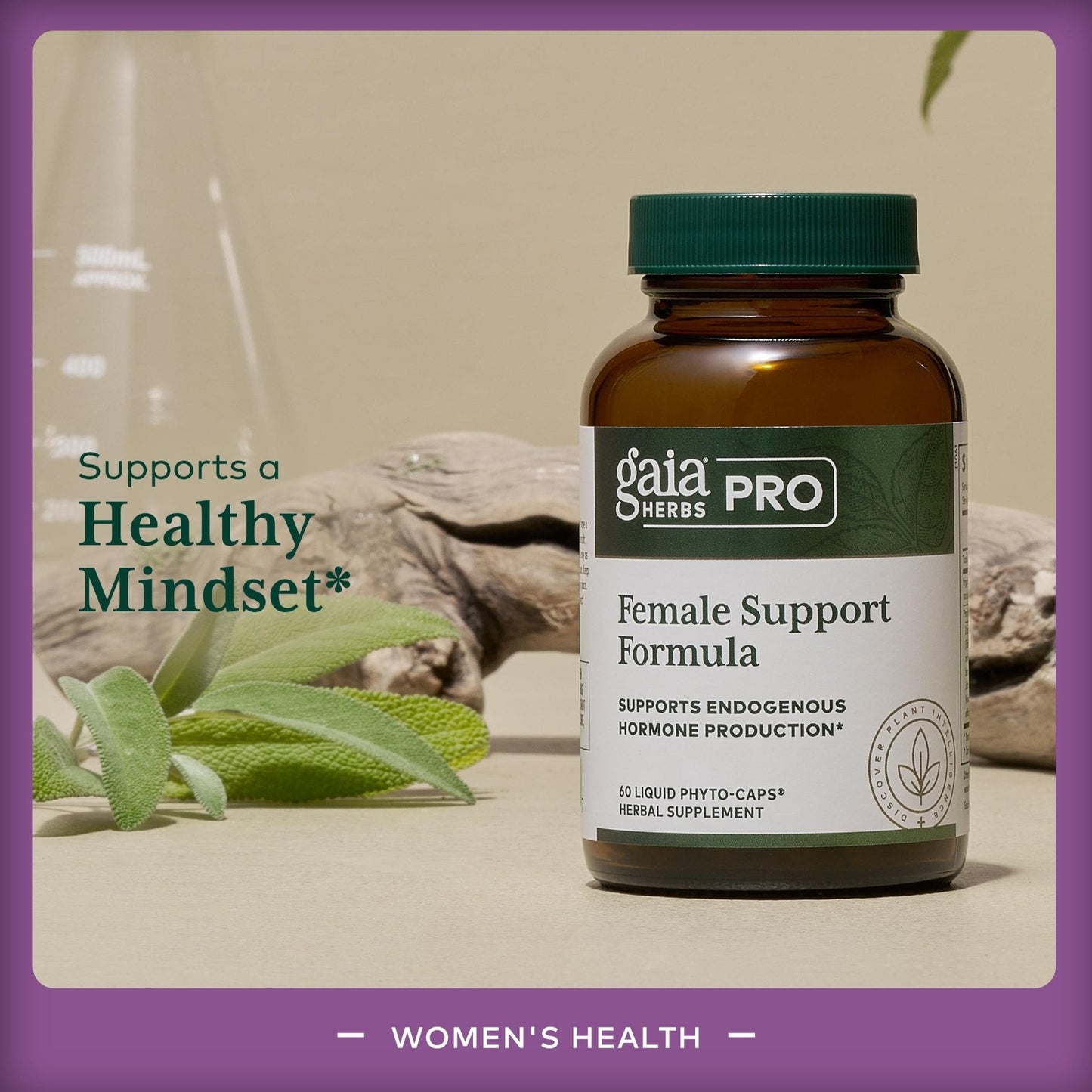 GAIA HERBS PRO Female Support Formula - Supports Healthy PMS & Menopause Fluctuations with Alfalfa Leaf, Black Cohosh Root Extract, Dandelion Root & More* - Vegan - 60 Liquid Phyto-Caps (60 Servings) - Maple Wellness Supplements