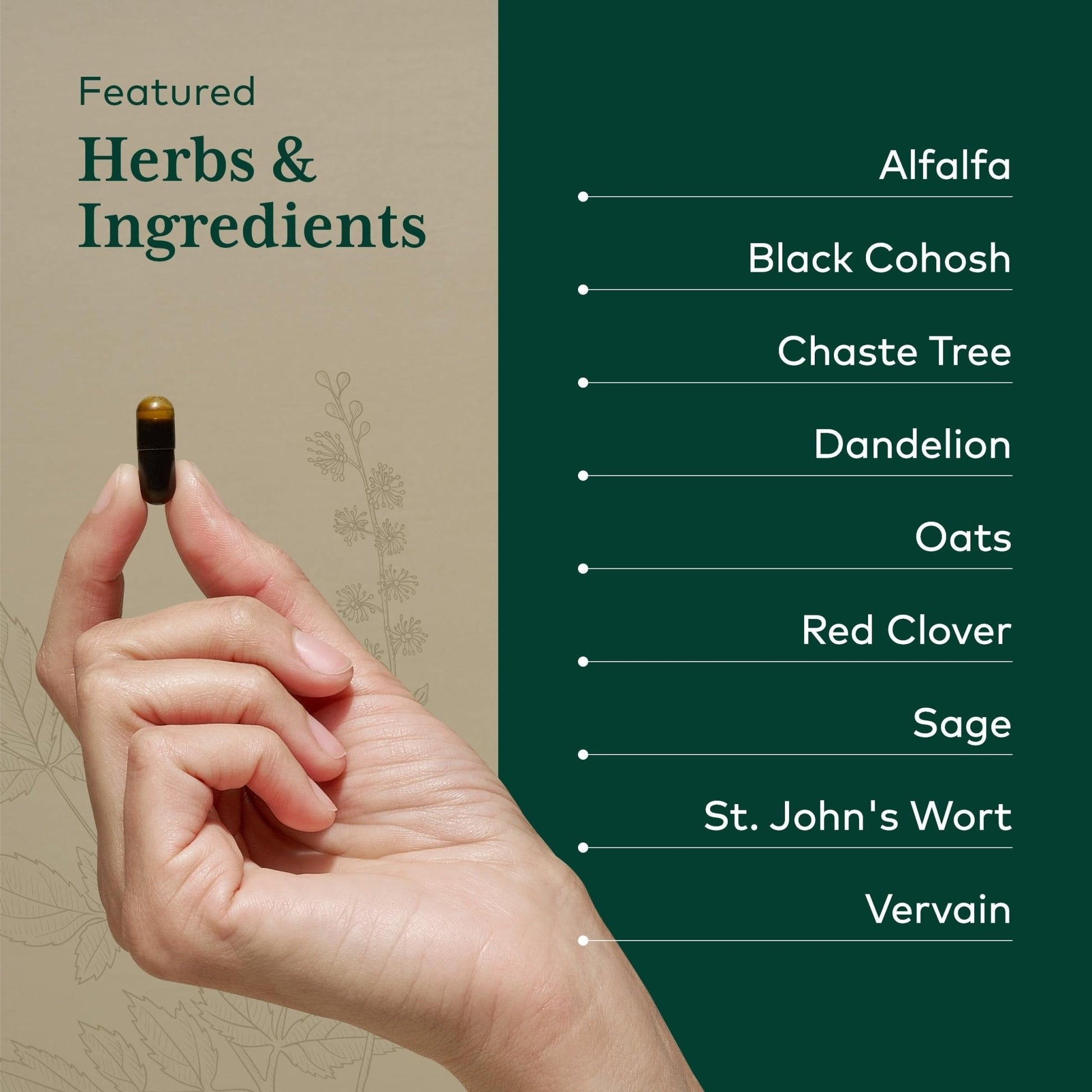 GAIA HERBS PRO Female Support Formula - Supports Healthy PMS & Menopause Fluctuations with Alfalfa Leaf, Black Cohosh Root Extract, Dandelion Root & More* - Vegan - 60 Liquid Phyto-Caps (60 Servings) - Maple Wellness Supplements