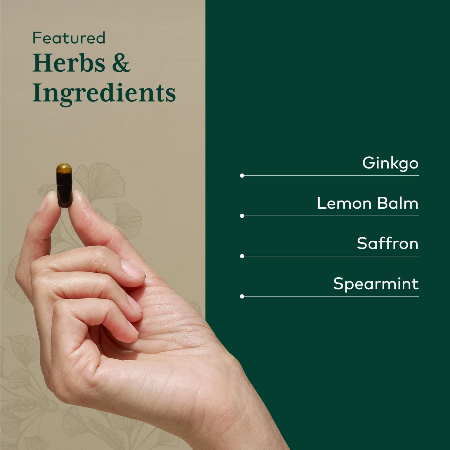 GAIA HERBS PRO Nootropic Focus - Brain Health Support Supplement* - Nootropic Supplement with Saffron, Ginkgo Leaf Extract & Lemon Balm - Vegan, Gluten-Free - 40 Liquid Phyto-Caps (20 Servings) - Maple Wellness Supplements