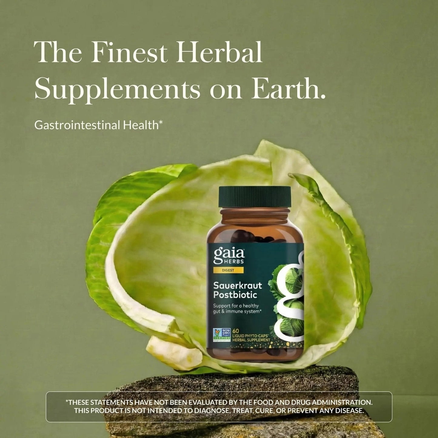 Gaia Herbs Sauerkraut Postbiotic - Gut Health & Immune Support Supplement* - Made with Fermented Sauerkraut - Free from Dairy, Soy & Gluten - 60 Vegan Liquid Phyto-Caps (30 Servings) - Maple Wellness Supplements