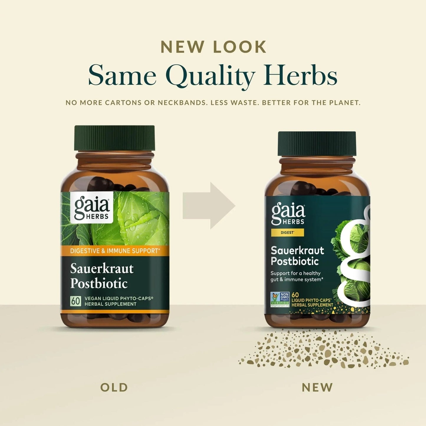 Gaia Herbs Sauerkraut Postbiotic - Gut Health & Immune Support Supplement* - Made with Fermented Sauerkraut - Free from Dairy, Soy & Gluten - 60 Vegan Liquid Phyto-Caps (30 Servings) - Maple Wellness Supplements