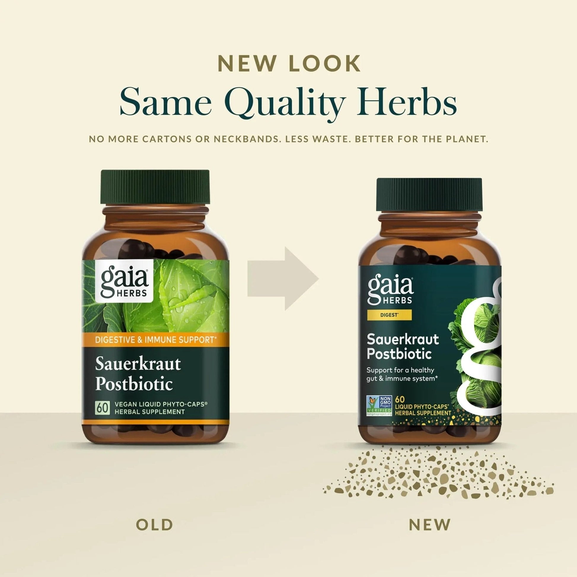 Gaia Herbs Sauerkraut Postbiotic - Gut Health & Immune Support Supplement* - Made with Fermented Sauerkraut - Free from Dairy, Soy & Gluten - 60 Vegan Liquid Phyto-Caps (30 Servings) - Maple Wellness Supplements