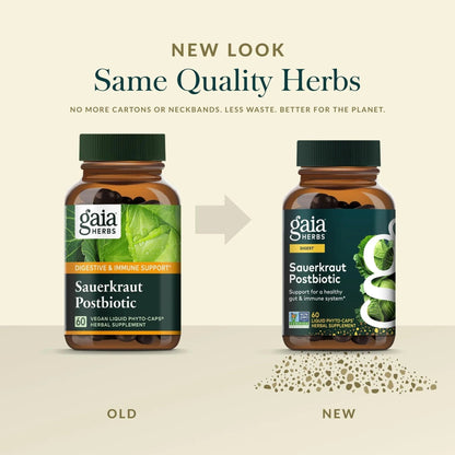 Gaia Herbs Sauerkraut Postbiotic - Gut Health & Immune Support Supplement* - Made with Fermented Sauerkraut - Free from Dairy, Soy & Gluten - 60 Vegan Liquid Phyto-Caps (30 Servings) - Maple Wellness Supplements