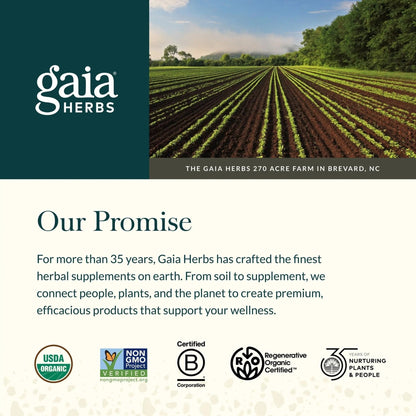 Gaia Herbs Sauerkraut Postbiotic - Gut Health & Immune Support Supplement* - Made with Fermented Sauerkraut - Free from Dairy, Soy & Gluten - 60 Vegan Liquid Phyto-Caps (30 Servings) - Maple Wellness Supplements