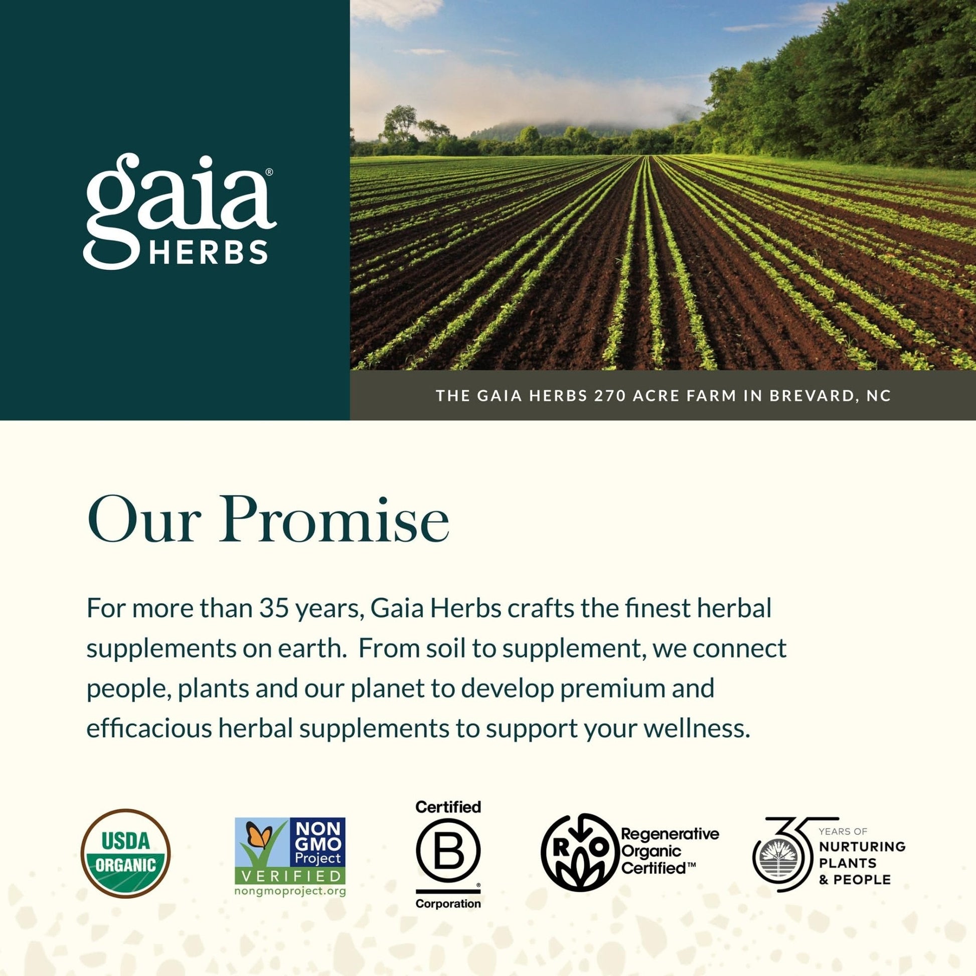 Gaia Herbs Turmeric Supreme Extra Strength - Supports Occasional Discomfort from Normal Wear & Tear* - with Turmeric Curcumin & Black Pepper - Maple Wellness Supplements