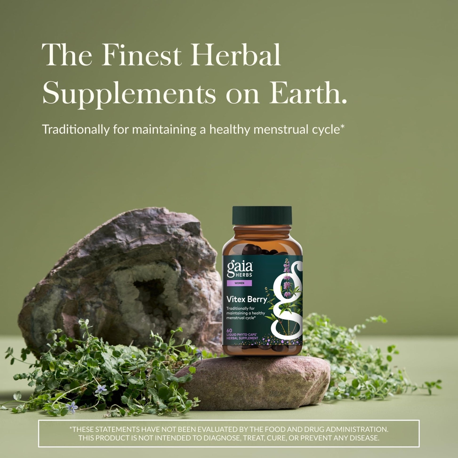 Gaia Herbs Vitex Berry - Vitex Traditionally Used to Support Hormone Balance for Women & a Healthy Menstrual Cycle* - 60 Vegan Liquid Phyto-Caps (30 Servings) - Maple Wellness Supplements