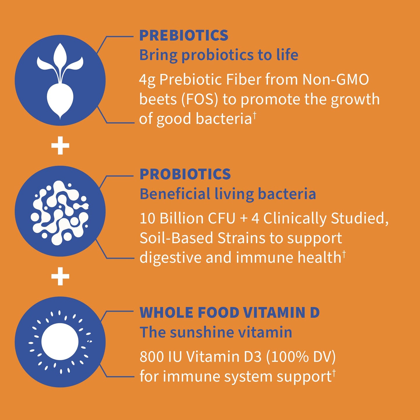 Garden of Life Dr Formulated 10 Billion CFU Prebiotic Fiber & Probiotic Gummies with Vitamin D3 for Digestive and Immune Health – Gluten Free, Non GMO - Maple Wellness Supplements