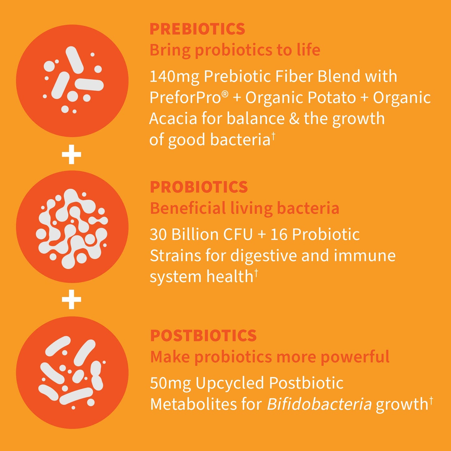 Garden of Life Dr Formulated Once Daily 3-in-1 Complete Probiotics, Prebiotics & Postbiotics - PRE + PRO + POSTBIOTIC Supplement for Adults’ Digestive - Maple Wellness Supplements