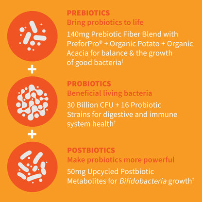 Garden of Life Dr Formulated Once Daily 3-in-1 Complete Probiotics, Prebiotics & Postbiotics - PRE + PRO + POSTBIOTIC Supplement for Adults’ Digestive - Maple Wellness Supplements