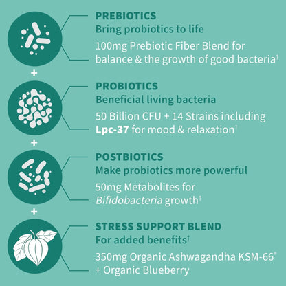 Garden of Life Dr. Formulated Pre, Post & Probiotics Calm 50 Billion CFU Daily 3-in-1 Complete Supplement with Ashwagandha – Mood Support, Digestive & Immune Support, 30 Vegetarian Capsules - Maple Wellness Supplements