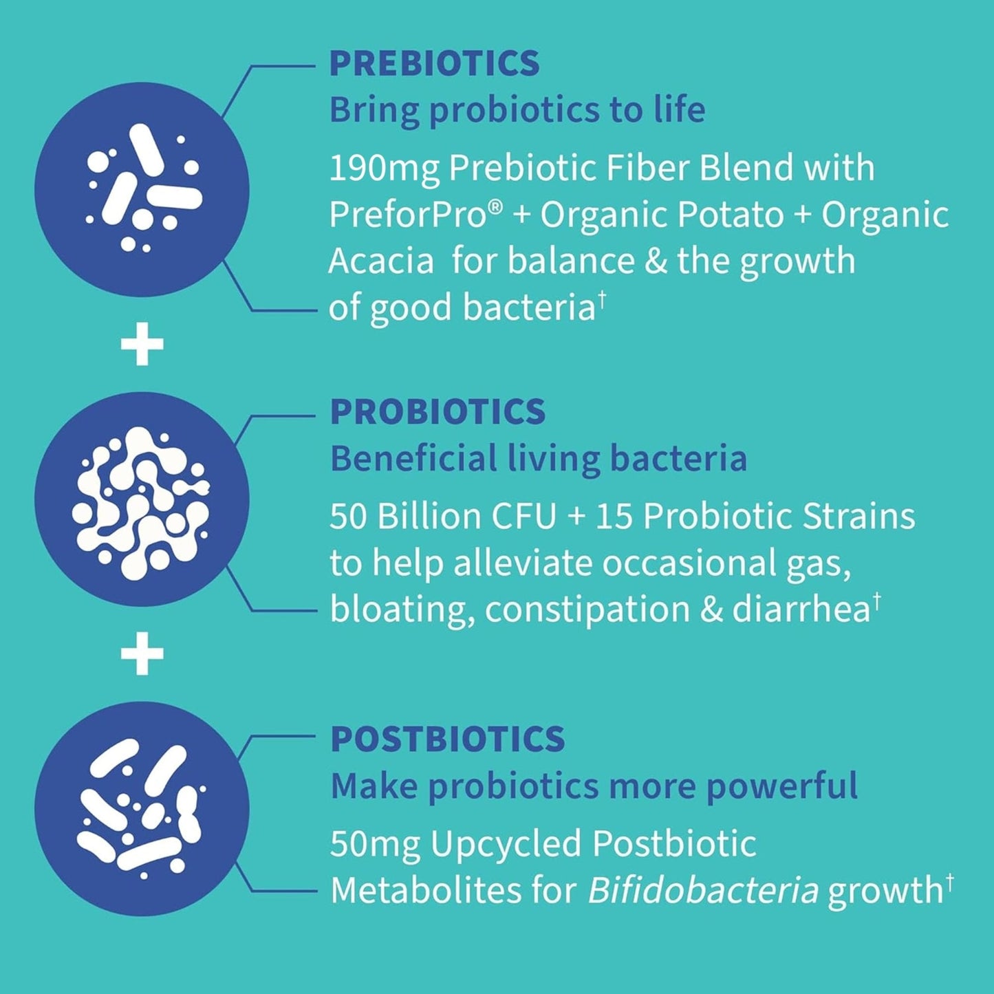 Garden of Life Dr. Formulated Pre, Post & Probiotics Gas & Bloating Once Daily 3-in-1 Complete Prebiotics, Postbiotics & Probiotics – 50 Billion CFU, Non-GMO, Gluten-Free, 30 Day Supply - Maple Wellness Supplements