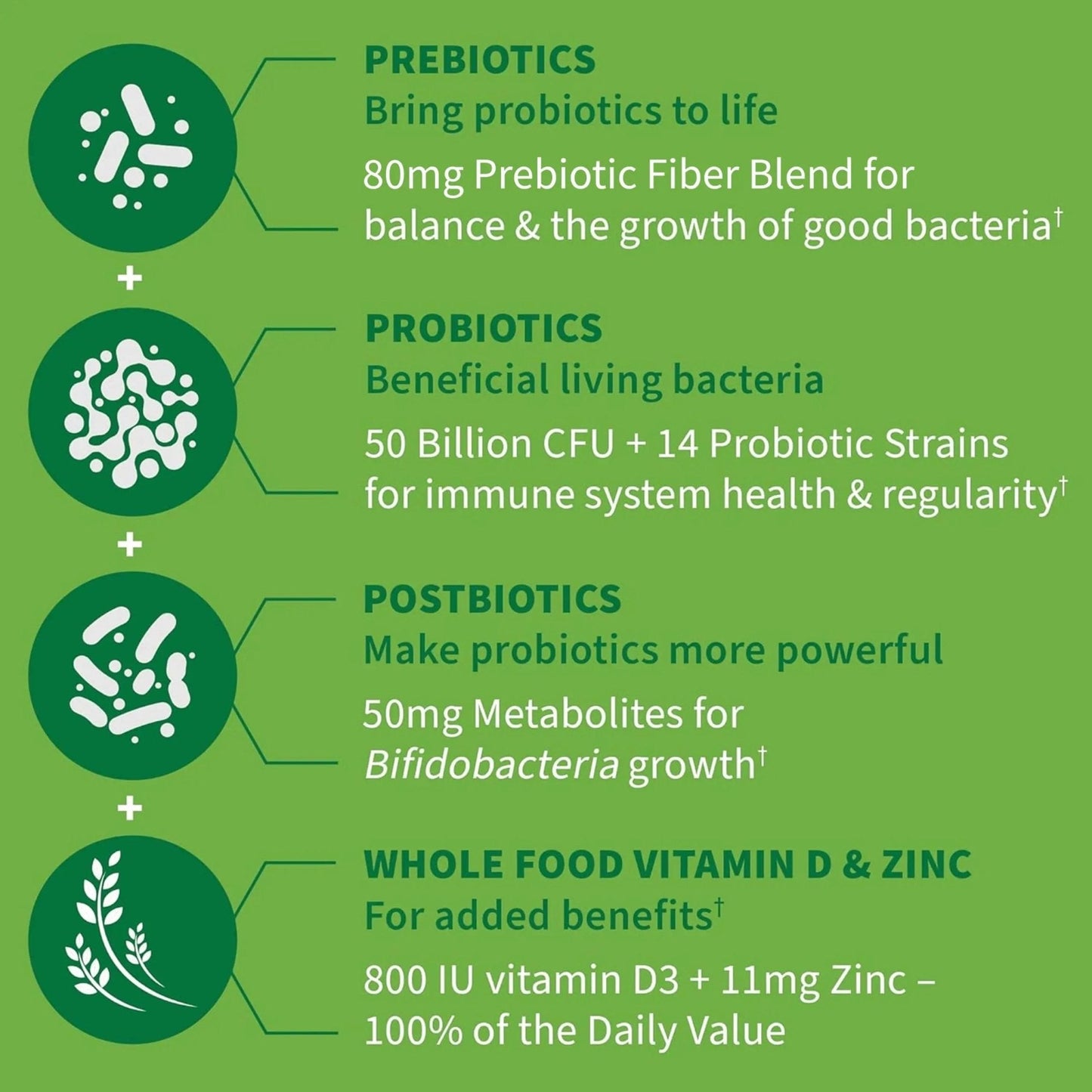 Garden of Life Dr. Formulated Pre, Post & Probiotics Immune Support with Prebiotics & Postbiotics – 50 Billion CFU, Gut & Digestive Health Support, Zinc & Vitamin D3, Vegan, 30 Day Supply - Maple Wellness Supplements