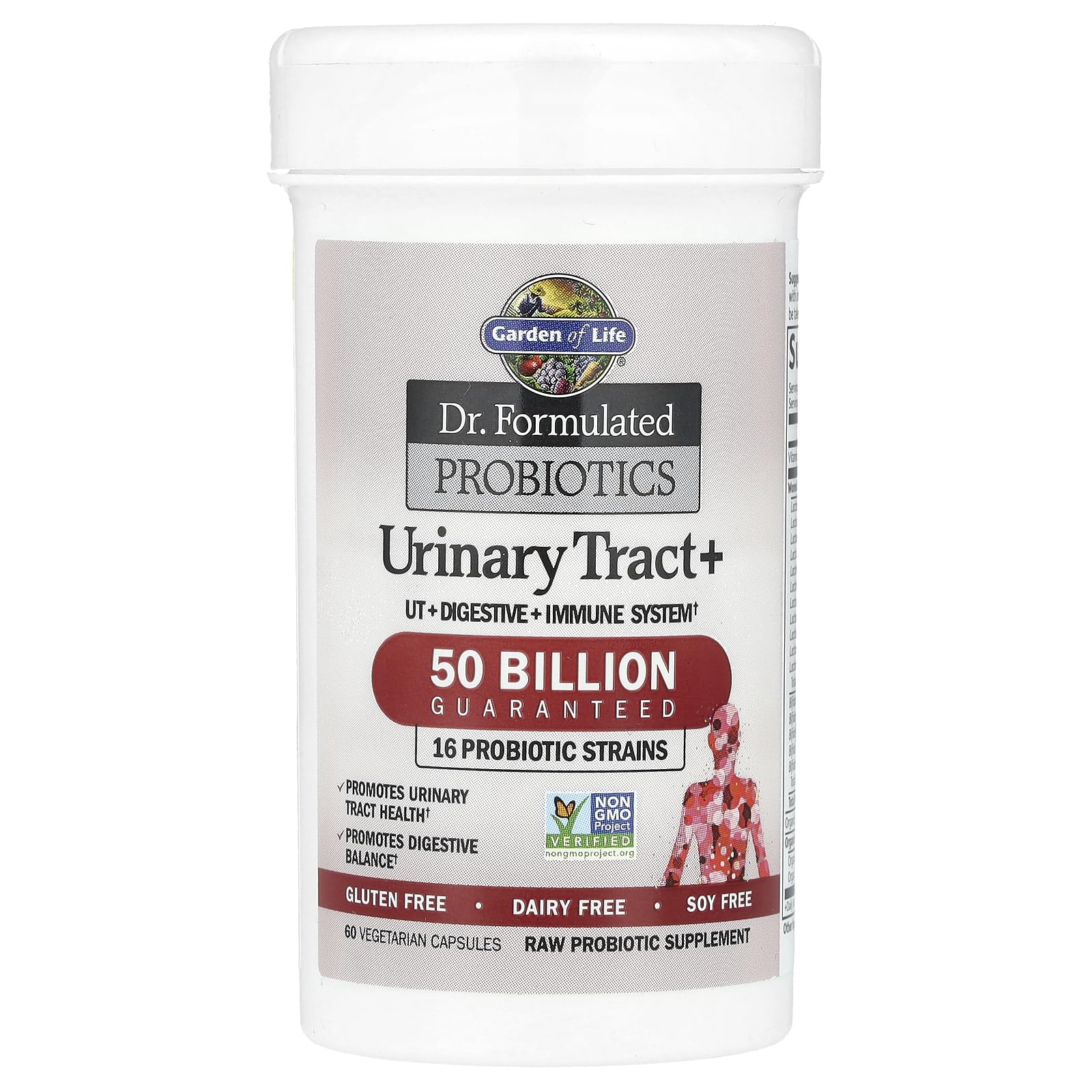 Garden of Life Dr. Formulated Probiotics Urinary Tract+ - 50 Billion CFU - Supports Digestive, Immune & Urinary Tract Health - Maple Wellness Supplements