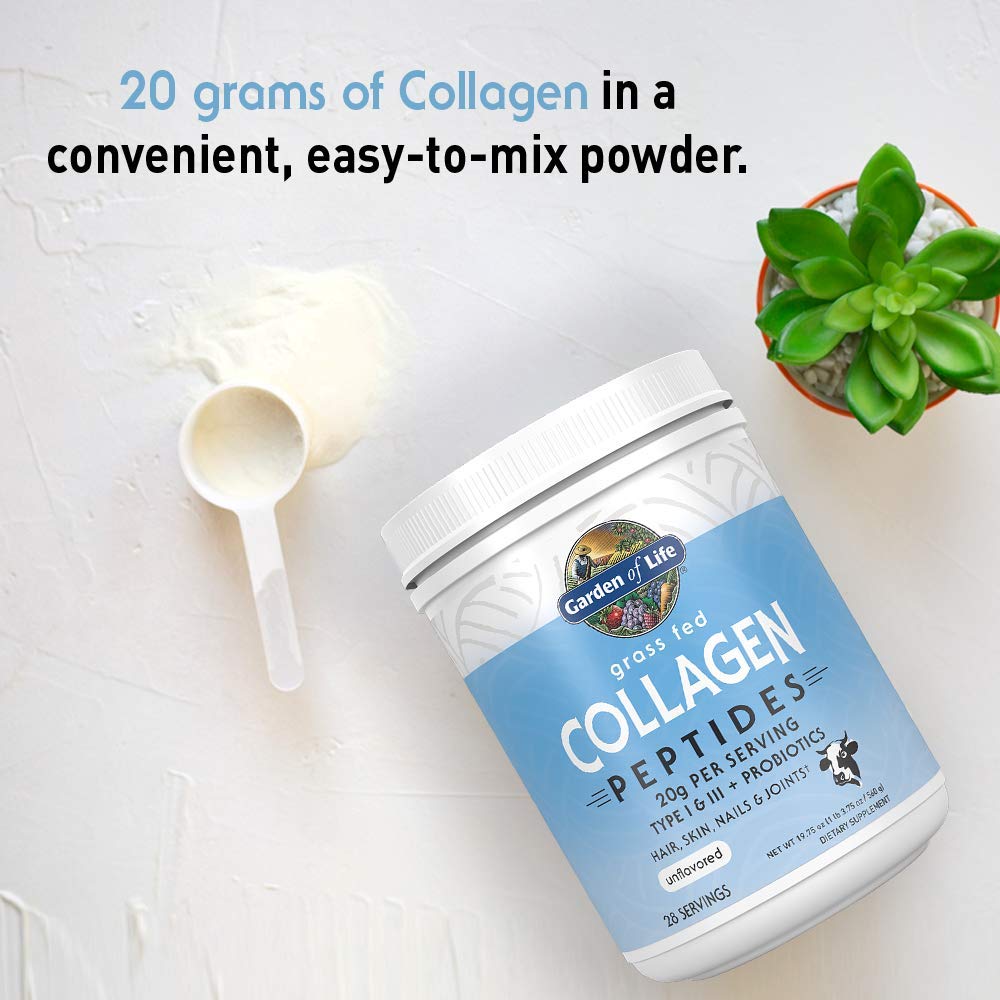 Garden of Life Grass Fed Collagen Peptides Powder Unflavored Collagen Powder for Hair Skin Nails Joints, Hydrolyzed Collagen Protein Supplements - Maple Wellness Supplements